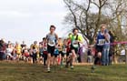 Under-13 boys Northern Cross Country Champs, Knowsley Safari Park. Photo: David T. Hewitson/Sports for All Pics